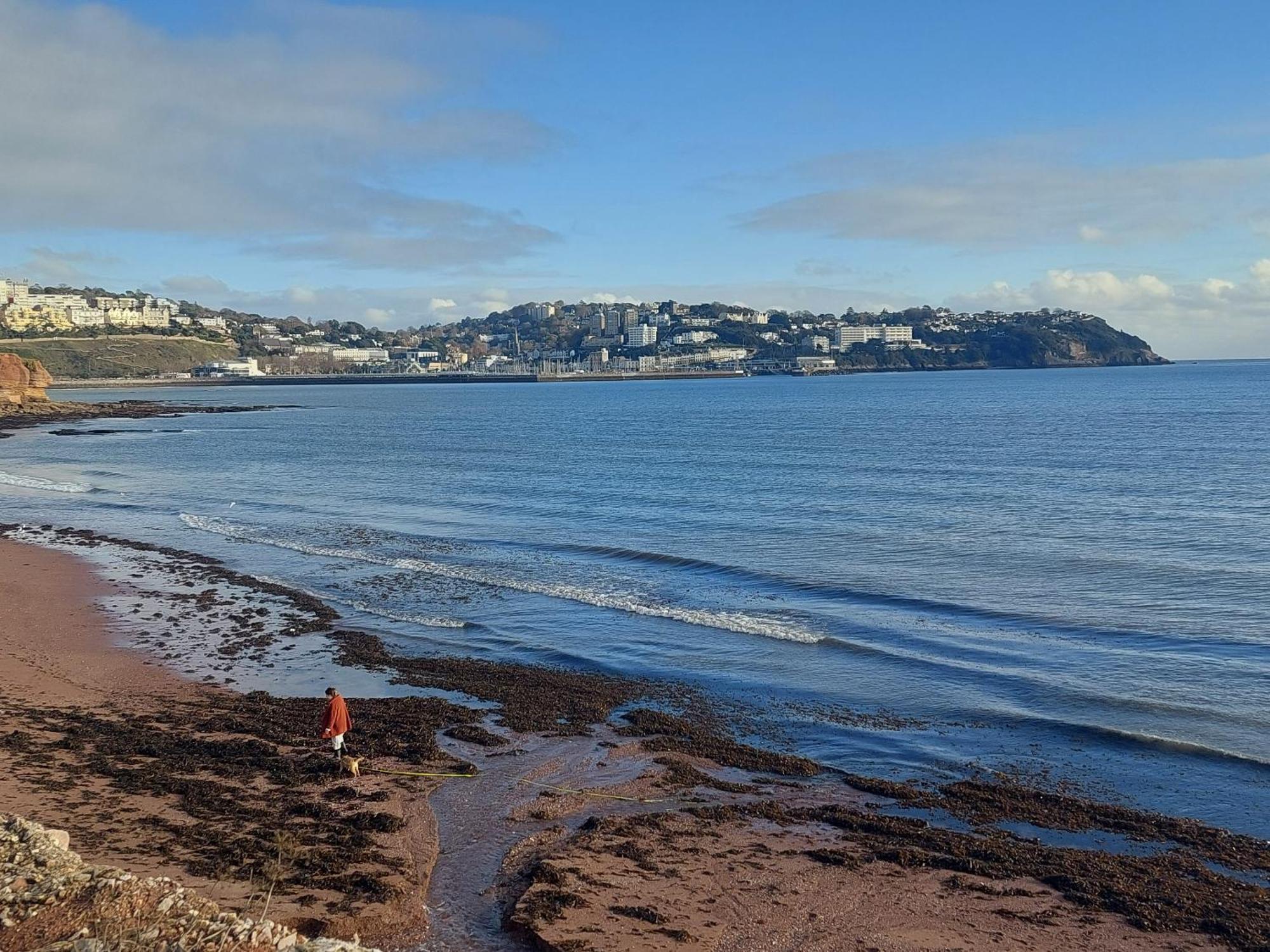 The Seaview Suites At The Corbyn Apartments Torquay Camera foto